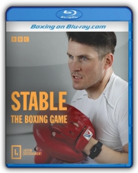 STABLE: The Boxing Game